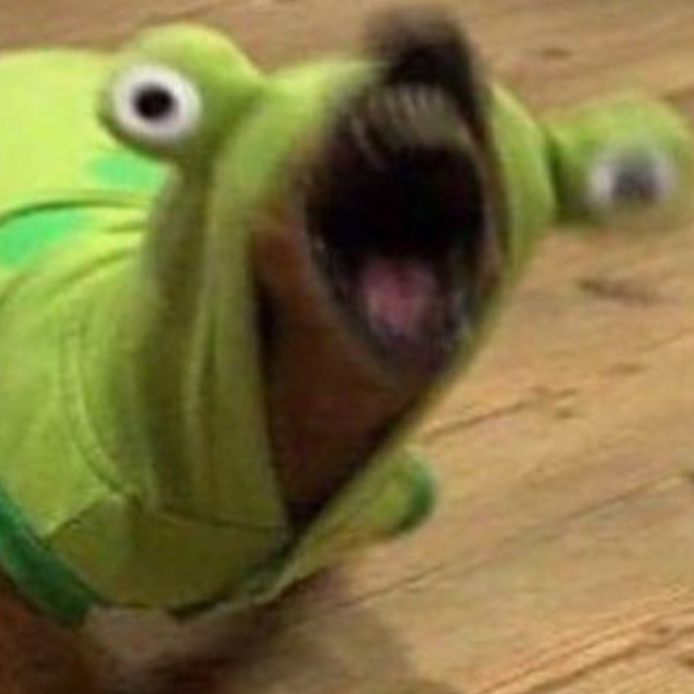 Meet your Posher, Drew